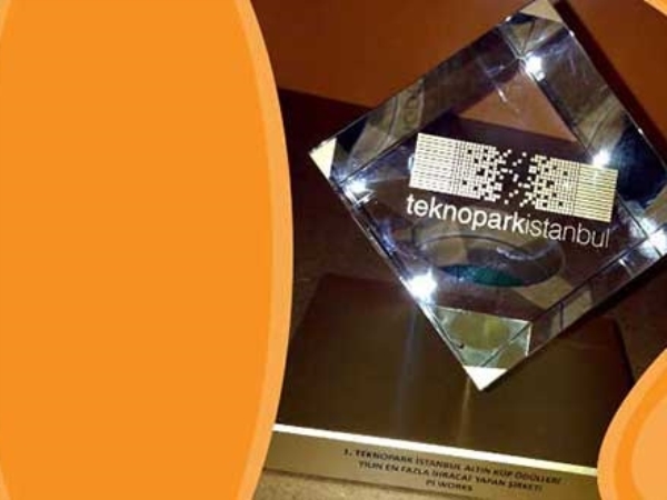 P.I. Works Winning the Technopark Golden Cube Award